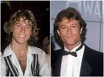 Andy Gibb's Height and Weight Revealed