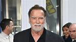Arnold Schwarzenegger Might Not Show up in Expendables 4 Rumor Is Shocking Fans All over the World