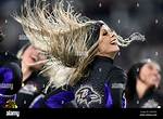 Baltimore Ravens Cheerleaders' Latest Wild Photos Cause a Stir