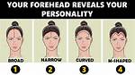 Biggest Forehead: Embrace Your Unique Feature
