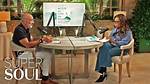 Buzzing with Oprah: the Sweet Connection Between Bees and a Cultural Icon
