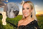 Carrie Underwood's Pregnancy: Unraveling the Truths