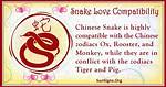 Chinese Snake Zodiac Compatibility - Who Should a Snake Marry?