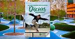 Discover Greensboro Without the Games: Your Ultimate Guide to Local Escapes