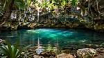 Discover the Enchanting World of Mexico's Michelin-Starred Dining