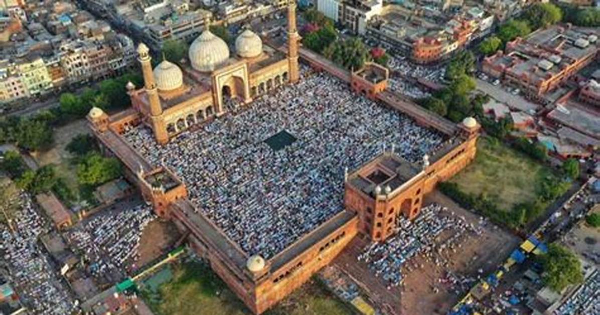 Discover the Legacy of Jama Hedgecoth, Noah's Animal Rescue Founder