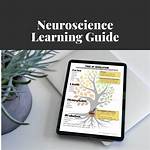 Discover the Neuroscience of Learning: Unraveling the Genius of Andrew D. Huberman