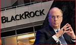 Discovering Blackrock: the Financial Powerhouse