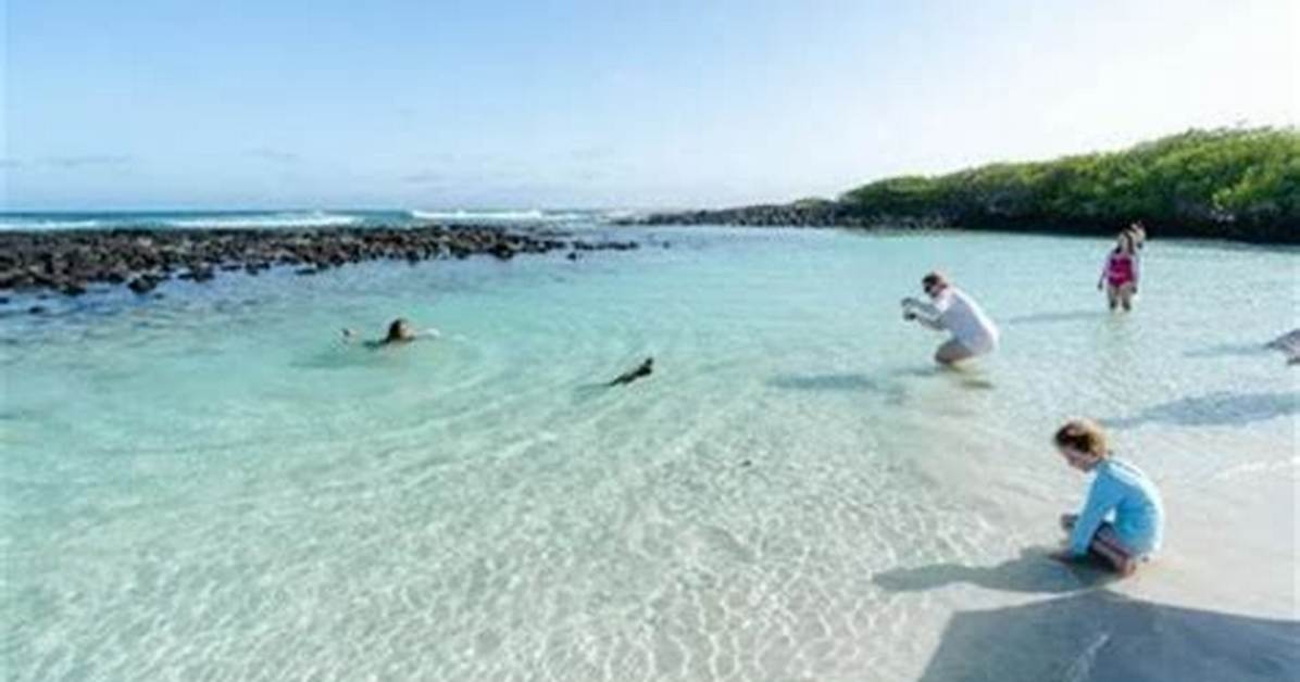 Discovering the Wonders of Oops Beach