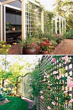 Diy Privacy Haven: Protect Your Garden from "Stefanie Gurzanski Onlyfans Leaks" Fallout