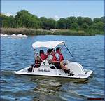 Experience Adventure on Water: Rent a Pedal Boat Wheel of Fortune