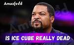 Exploring the "Ice Cube Dead" Hoax and Its Impact