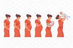 Exploring the Journey of Sophieraiin Pregnant: a New Chapter in Life