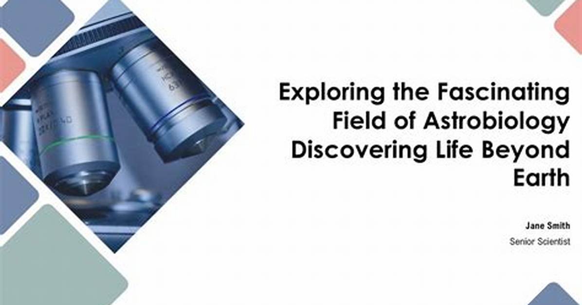 Exploring the Life of a Fascinating Individual