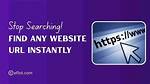 Find Your Website's Position for Any Keyword - Get Ranked Now!