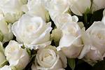 For the Rose That Started Our Relationship: Wife Brittany Mahomes Sharesprecious Moments Cele
