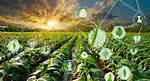 Forecasting Plant City: Understanding the Climate, Agriculture, and Future Trends