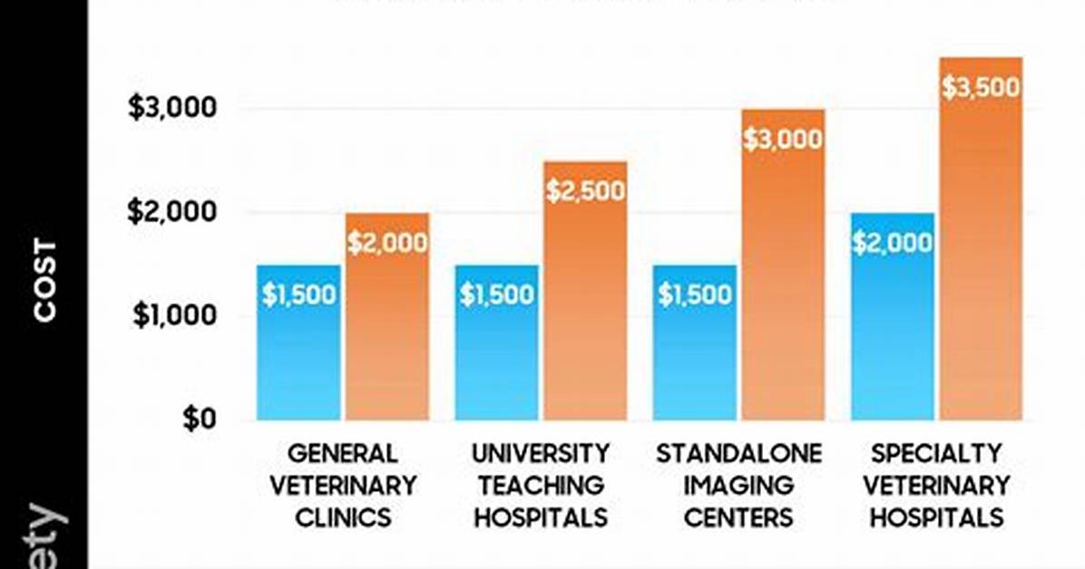 How Much Does a Dog Ct Scan Cost?