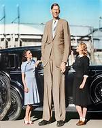 How Tall Was Robert Wadlow |