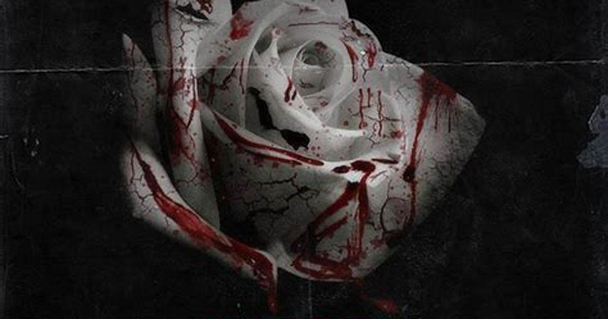 Hunxho Looking for Love Lyrics |