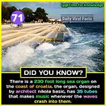 Interesting Facts You Should Know
