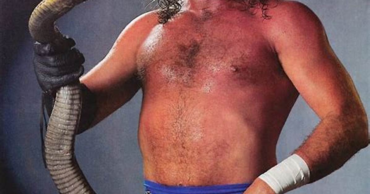 Jake the Snake Roberts: a Deep Dive into the Life and Career of a Wrestling Legend