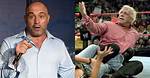Joe Rogan Trashes Wwe Icon Ric Flair for Worst Thing One Can Do in Realworld Fights