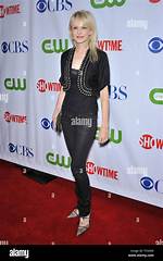 Kathryn Morris: the Multifaceted Star of Hollywood