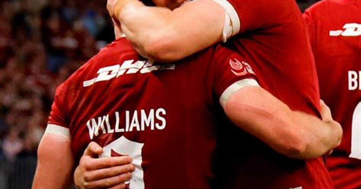 Lions Win: a Comprehensive Look at Their Path to Victory