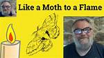 Meaning of Moth to a Flame by the Weeknd