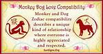 Monkey and Dog Compatibility: Lively Attraction