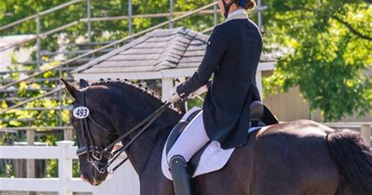 Morgan Alexandra Fille: a Comprehensive Insight into Her Life and Career