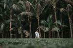 Professional Photography Services in Kauai by Alex Gumm