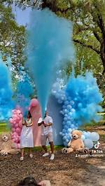Pulsevibe | California Couple Whose Gender-Reveal Party Sparked a Wildfire Charged with 30 Crimes