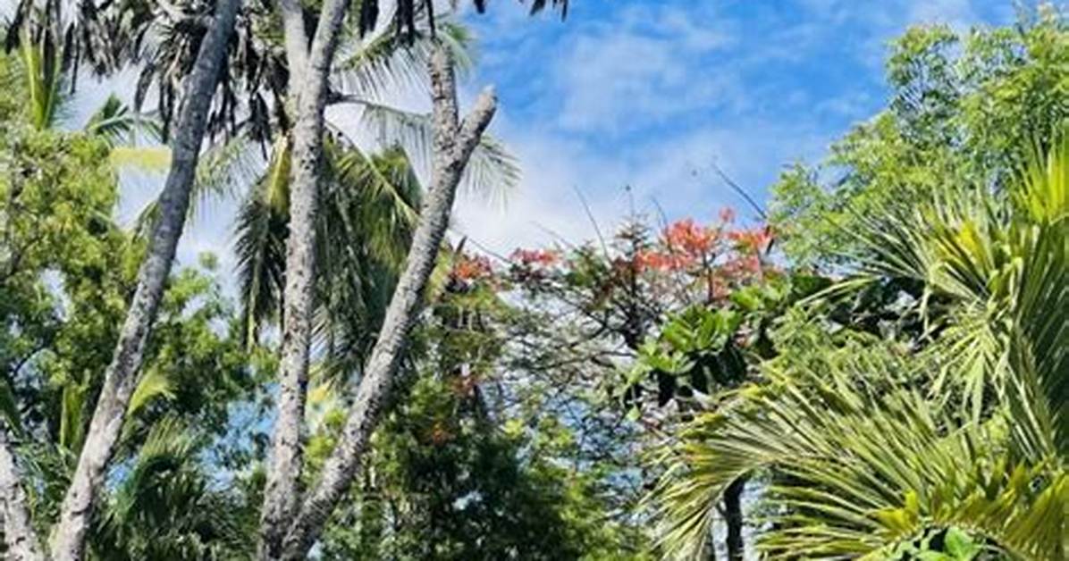 Qwetu Beach Resort, Mombasa, Kenya
