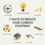 Reduce Your Carbon Footprint While Supporting Sustainable Brands