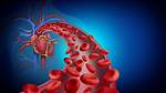 Ristela Enhances the Blood Flow to the Genital Area.