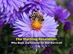 Startling Revelations and Crucial Lessons