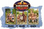 The Brains and Brawn of Survivor Season 44