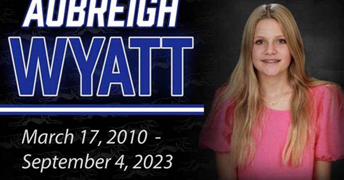 The Bullies of Aubrey Wyatt: a Journey Through Adversity