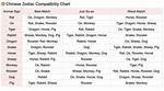 The Compatibility Guide: Snakes and Tigers in Love and Life