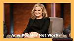 Uncover Amy Poehler's Net Worth Secrets: Wealth Revealed