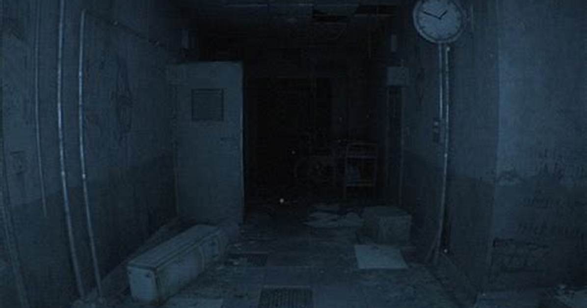 Uncover the Haven for Abandoned Souls: Asher House Animal Sanctuary