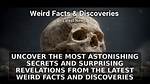Uncover the Secrets: Discoveries and Insights into the Vashti Seacat Family