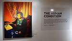 Uncovering the Human Condition Through Art