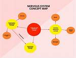 Understanding the Concept of a System?