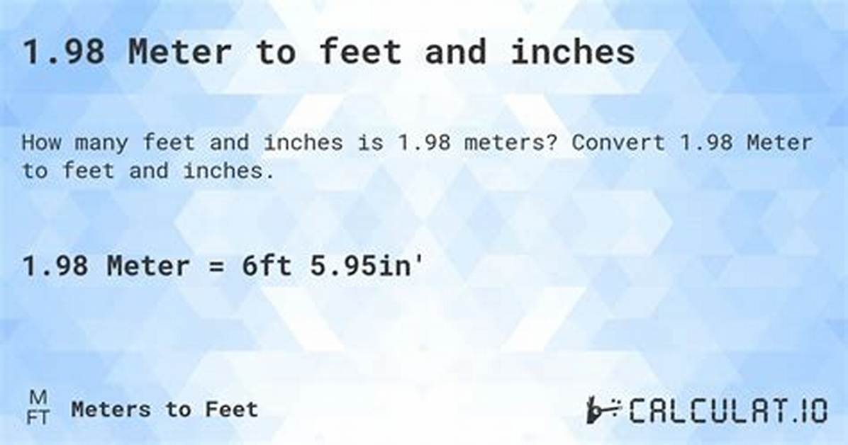Understanding the Conversion of 1.98 Meters to Feet