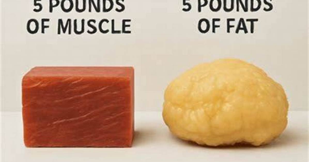 Understanding the Visual Representation of 5 Pounds of Fat