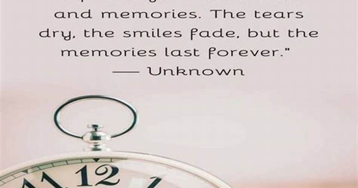 Unforgettable Memories: When I Met You in the Summer