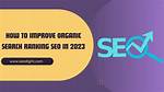 Unlocking the Power of Organic Search Ranking Tools